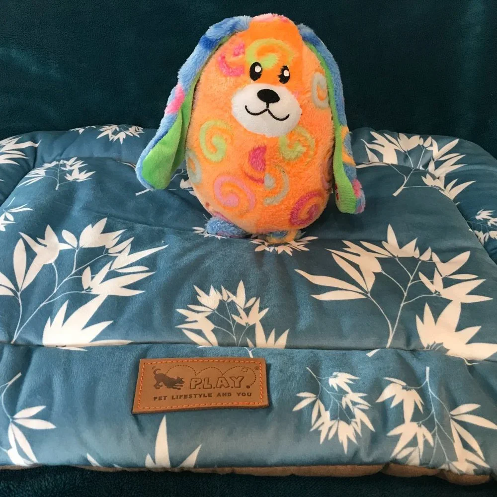 Pet Play Dog Bed (large) and New Toy
